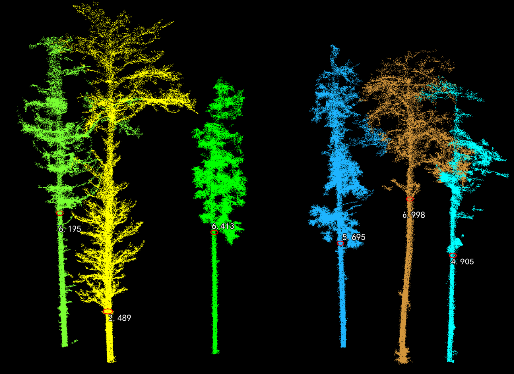 LiDAR360 automatically extracts the height under branches, making forestry investigations more efficient!