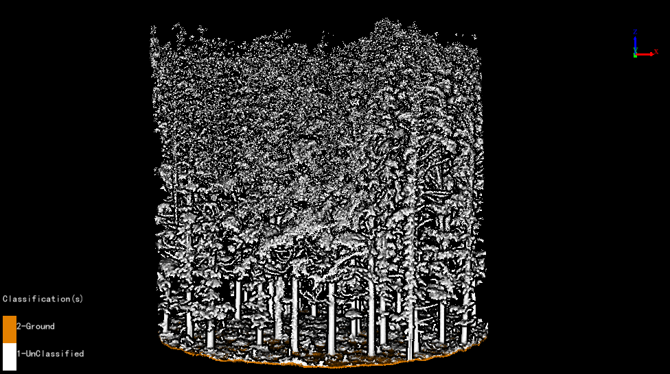 LiDAR360 TLS Forest
