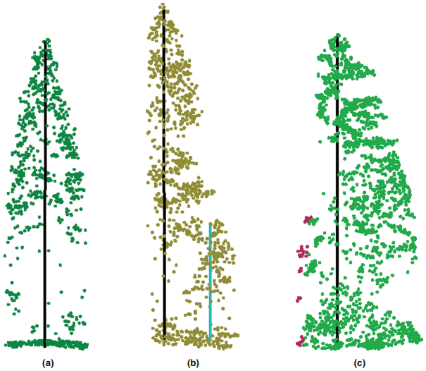 Tree_Segmentation_Pic