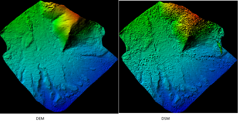 Generated DEM and DSM
