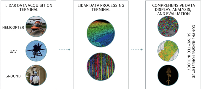 LiDAR360 automatically extracts the height under branches, making forestry investigations more efficient!